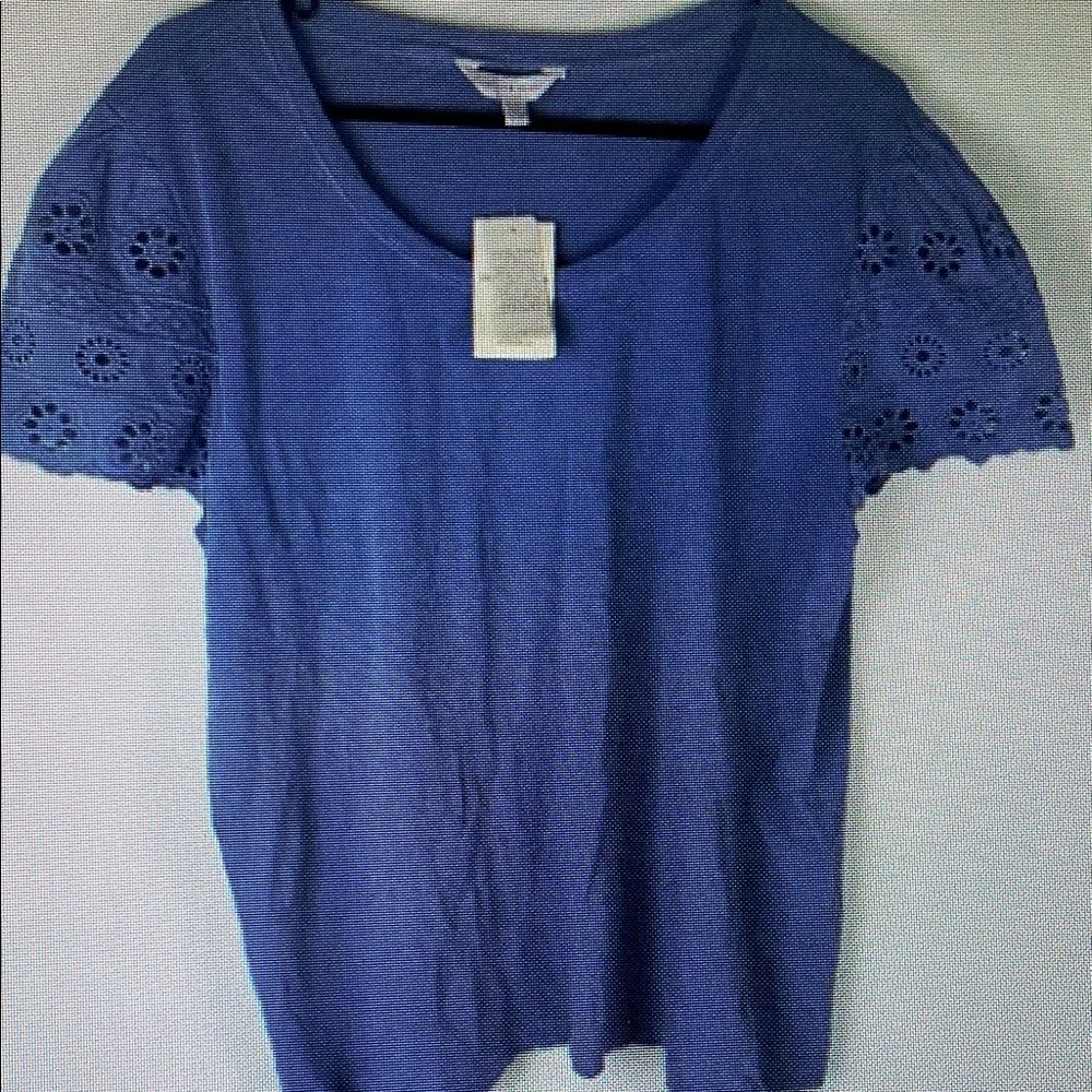 Blue Lace Sleeve Women's Top